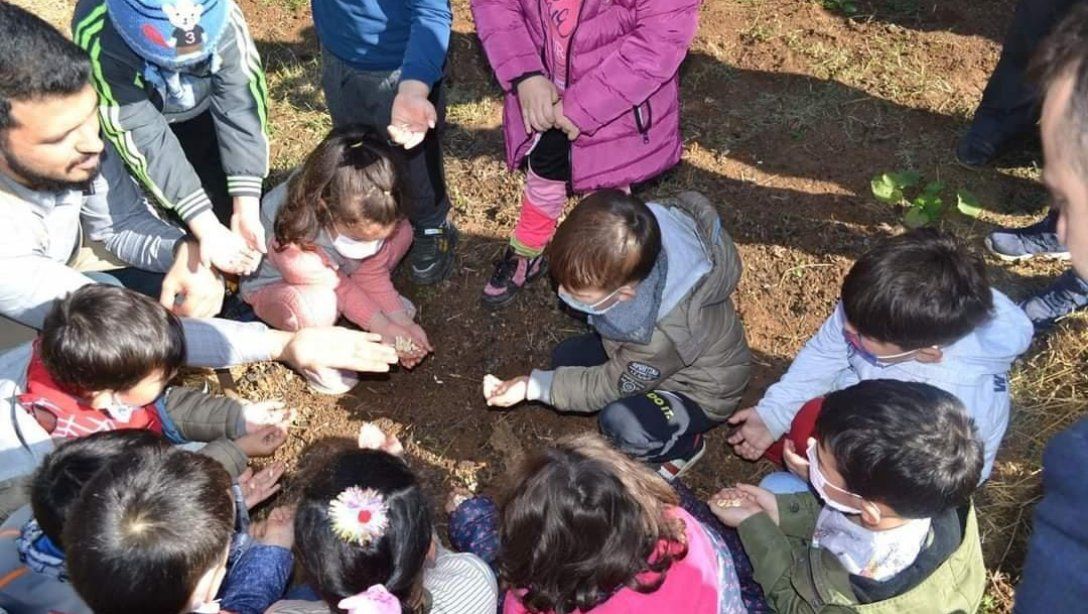 Anaokulu Öğrencilerimiz Mengen Tohum Ambarını Ziyaret Etti